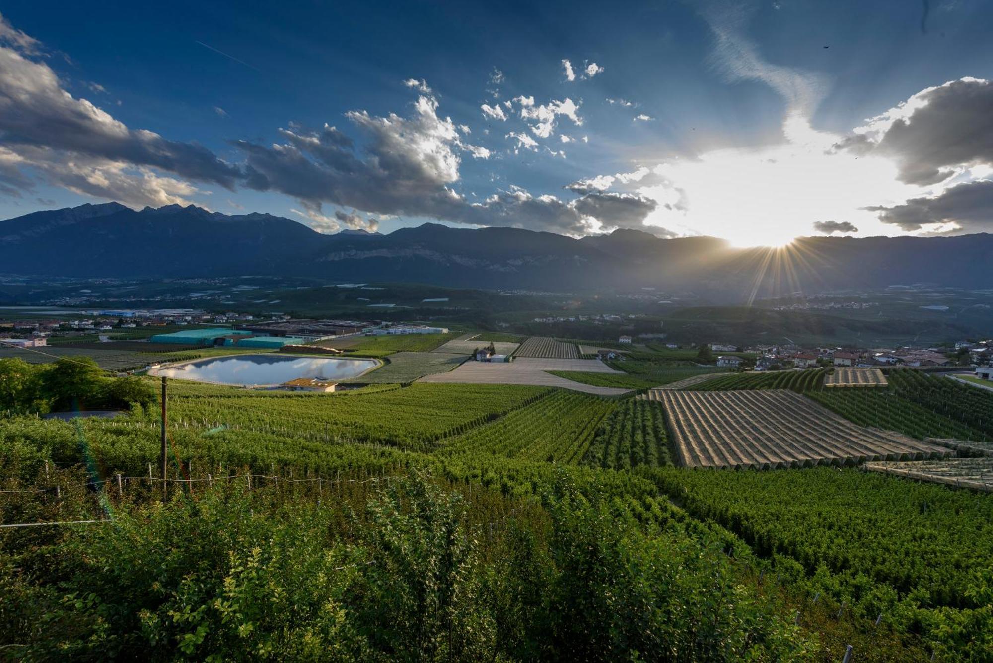 Taio Agritur La Pieveヴィラ エクステリア 写真